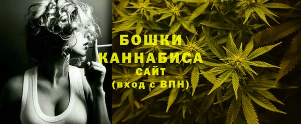 прущий лед Гусиноозёрск