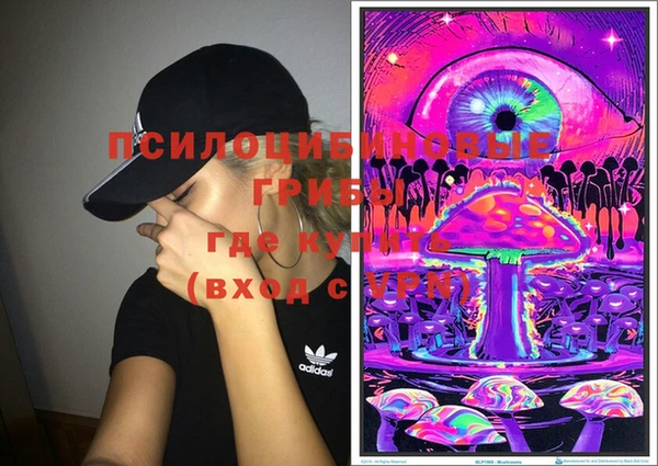 мдпв Гусев