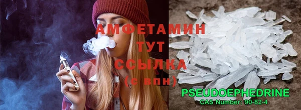 спиды Кропоткин