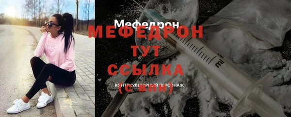 мдпв Гусев